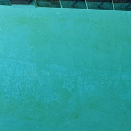 Our pool walls after Poseidon "brushed them." The chemicals were so bad under their care that this is algae that accumulated every day.
