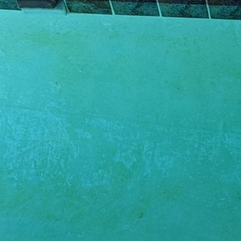 Poseidon Pool Service - Our pool walls after Poseidon "brushed them." The chemicals were so bad under their care that this is algae that accumulated every day. - Pool Cleaners Near Me