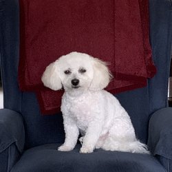 Mel's Groom Room