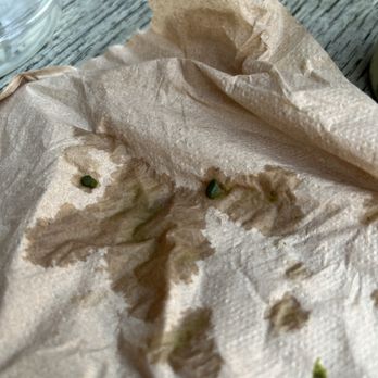 WFM Coffee & Juice Bar - A napkin with matcha clumps on it - Coffee & Tea Near Me - Burbank, California WFM Coffee & Juice Bar - A napkin with matcha clumps on it - Coffee & Tea Near Me - Burbank, California