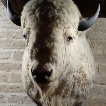 Gage Hotel - Hotels Near Me - Marathon, Texas
