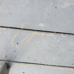 Long & Foster Vacation Rentals - Sand on porch