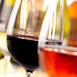 The Stief - Great selection of wine!