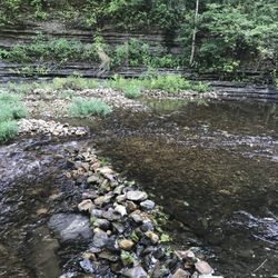 Meriwether Lewis Campground