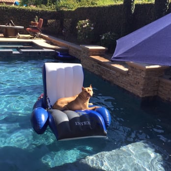 Brian's Pool Plastering - Amber loves her new pool! - Pool & Hot Tub Service Near Me - Buena Park, California