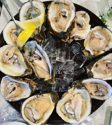 Anna Maria Oyster Bar Landside by null