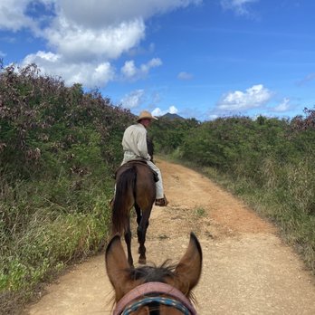 CJM Stables - Guide, Robert (THE BEST) - Horseback Riding Near Me