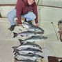 Photo of Cool City Charters