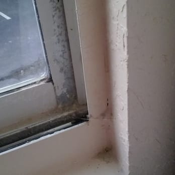 La Quinta Inn by Wyndham Jupiter - Dirty filthy windows and window crevices - Hotels Near Me - Jupiter, Florida La Quinta Inn by Wyndham Jupiter - Dirty filthy windows and window crevices - Hotels Near Me - Jupiter, Florida