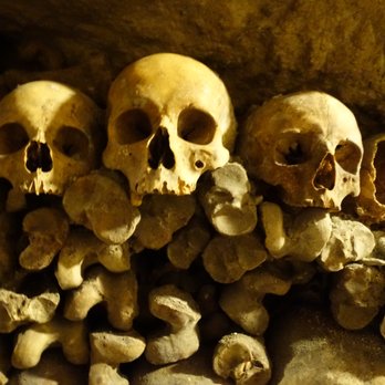 Les Catacombes de Paris - Catacombs - Local Flavor Near Me - Paris, 75 Les Catacombes de Paris - Catacombs - Local Flavor Near Me - Paris, 75
