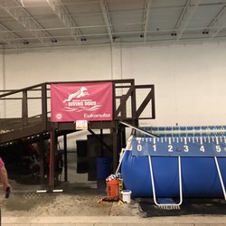 For the Love of Dogs - Dock diving