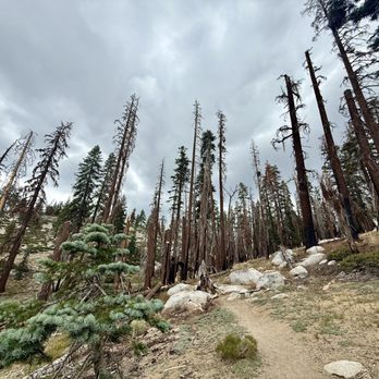 Lukens Lake - Trail - Hiking Near Me - Wawona, California