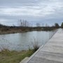 Photo of North Wetland