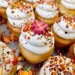  Miss Moffett’s Mystical Cupcakes