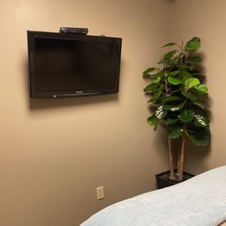 Preferred Sleep Solutions - TV inside the room