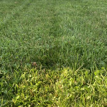 Johnson’s Lawncare Service’s & More - ows a lawn - Lawn Services Near Me Johnson’s Lawncare Service’s & More - ows a lawn - Lawn Services Near Me