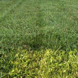 Johnson’s Lawncare Service’s & More