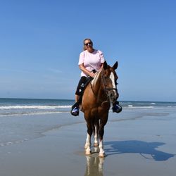 Inlet Point Plantation - Sweet horses that are happy strolling on the beach!