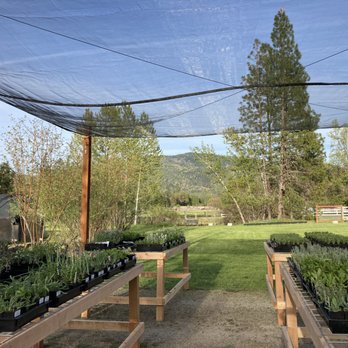 Goodwin Creek Gardens - Nurseries & Gardening Near Me - Williams, Oregon Goodwin Creek Gardens - Nurseries & Gardening Near Me - Williams, Oregon