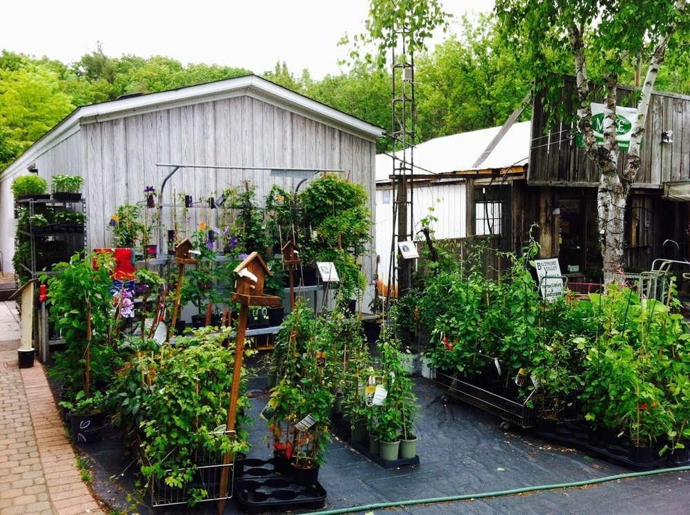 BALTIMORE VALLEY GARDEN CENTRE Updated August 2024 20 Photos 5599