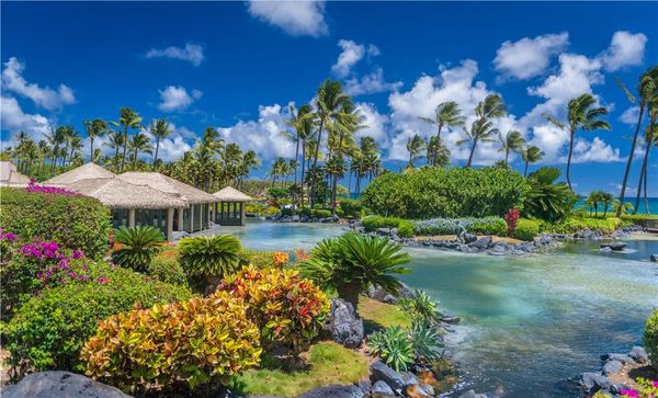 Grand Hyatt Kauai Resort & Spa by null