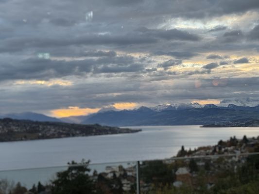 Hotel Belvoir by null