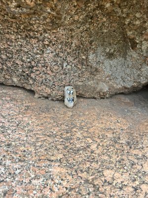 Enchanted Rock State Natural Area by null