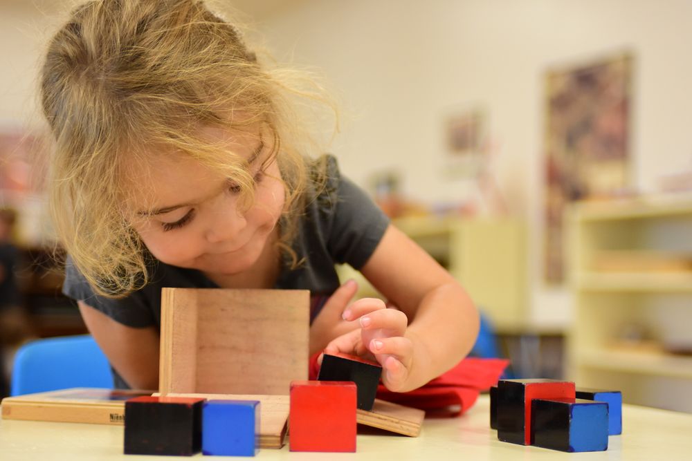 Mountain Shadows Montessori School - childcare center in Boulder, CO