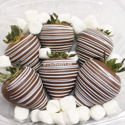 The Berry Lab - Chocolate covered strawberries