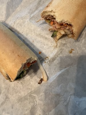 Paris Banh Mi Pho Pearland by null