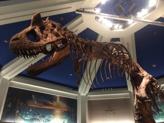 DINOSAUR by null