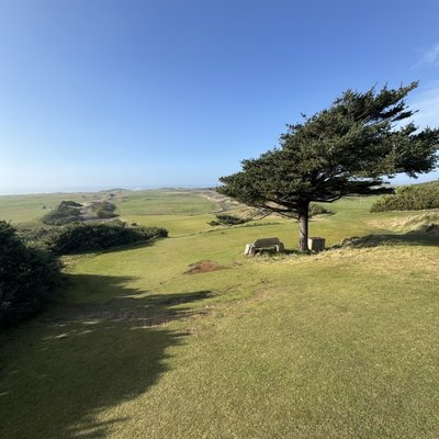 Bandon Dunes Golf Resort - Pacific Dunes by null