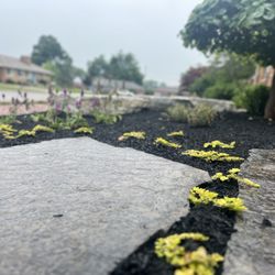 Cable Bros Outdoor Living & Landscaping - Up and coming vibrant landscape.