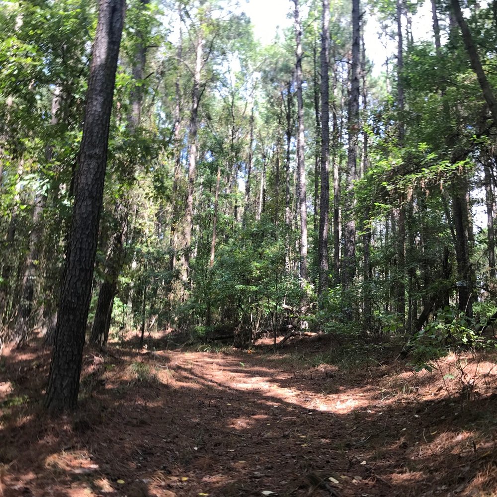 lake darbonne state park - Parks Near Me - Farmerville, Louisiana