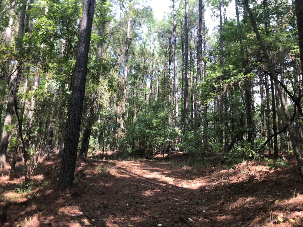 LAKE DARBONNE STATE PARK Updated June 2024 3628 Evergreen Rd, Farmerville, Louisiana Parks