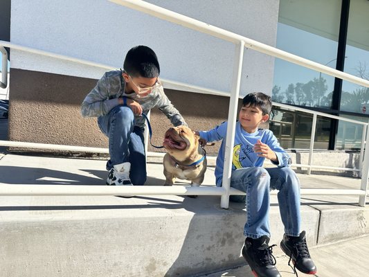 chewy pet meds reviews