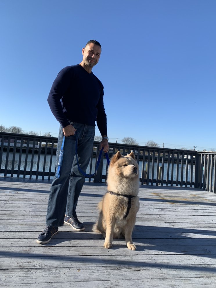 ON THE RISE SERVICE DOG TRAINING Brooklyn, New York Pet Training