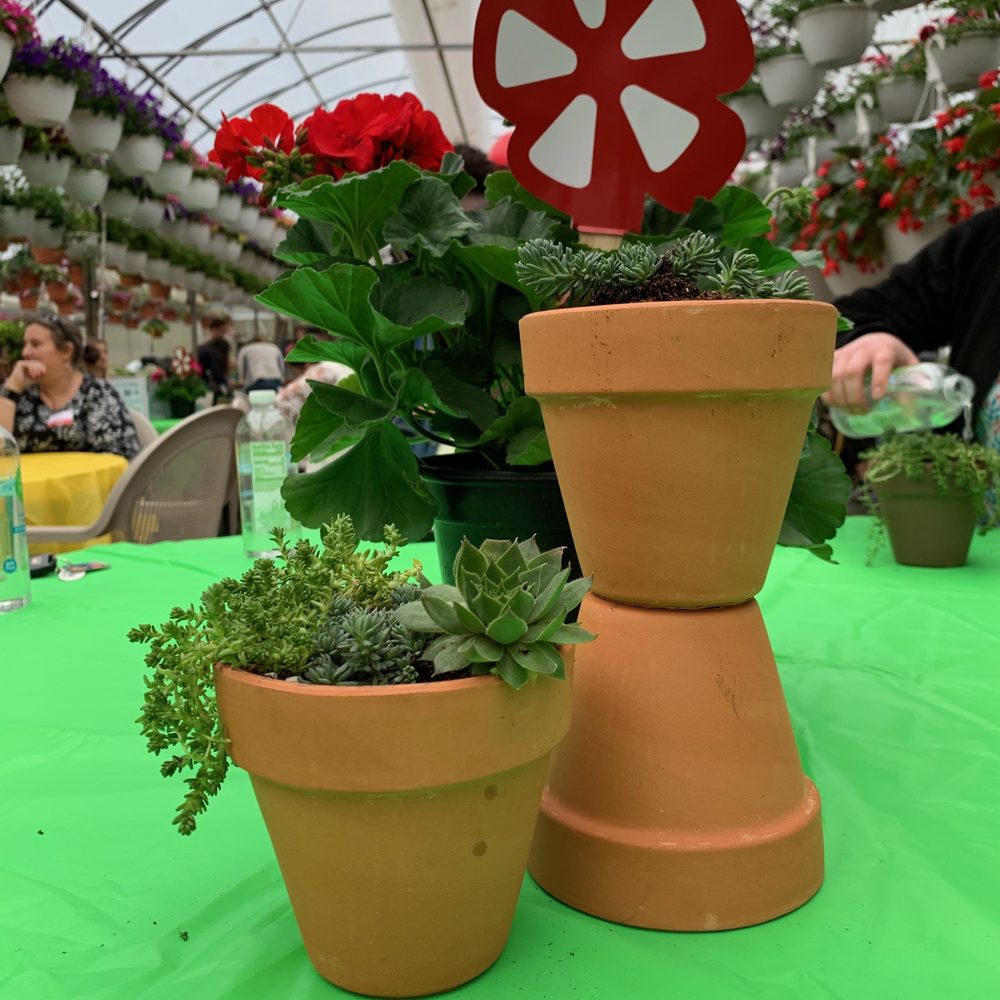 DeMonye's Greenhouse - Yelping class @ deMonye greenhouse - Nurseries & Gardening Near Me - Columbus, Ohio DeMonye's Greenhouse - Yelping class @ deMonye greenhouse - Nurseries & Gardening Near Me - Columbus, Ohio