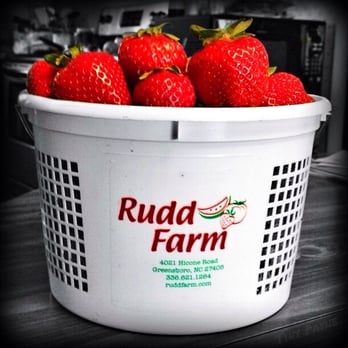 Rudd Farm - Rudd Farm Strawberries I Got This Past Season - Farmers Market Near Me - Greensboro, North Carolina Rudd Farm - Rudd Farm Strawberries I Got This Past Season - Farmers Market Near Me - Greensboro, North Carolina