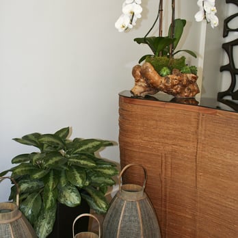 Greenleaf Interior Plant Solutions - Hotel La Jolla - Interior Design Near Me - San Diego, California Greenleaf Interior Plant Solutions - Hotel La Jolla - Interior Design Near Me - San Diego, California