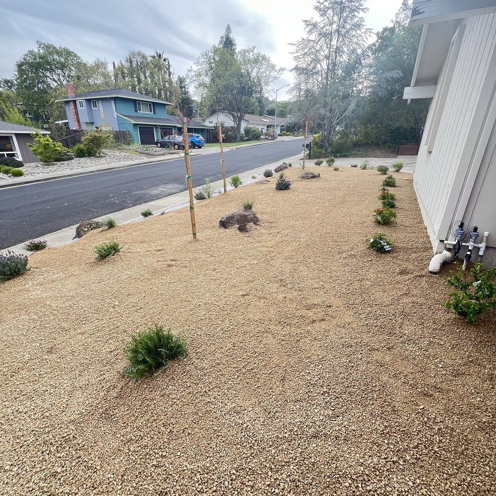 MR Landscaping - Landscaping Near Me - Rodeo, California