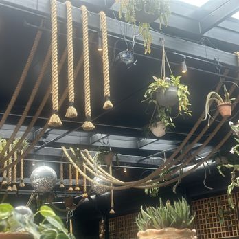Vera Cocina & بار - Rooftop decor - Mexican Near Me - Washington, DC, District of Columbia Vera Cocina & بار - Rooftop decor - Mexican Near Me - Washington, DC, District of Columbia