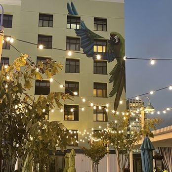 5 o'Clock Somewhere Rooftop Bar - Bars Near Me - San Diego, California 5 o'Clock Somewhere Rooftop Bar - Bars Near Me - San Diego, California