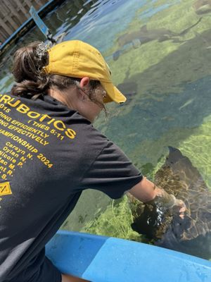 Alabama Aquarium at the Dauphin Island Sea Lab by null
