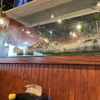 Chow Time Buffet & Grill - The view - Chinese Near Me - Memphis, Tennessee