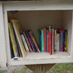 Little Free Library - Little Free Library, Yaphank