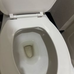 Quality Inn & Suites - Dirty water