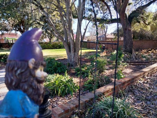 Rosalie Mansion and Gardens by null