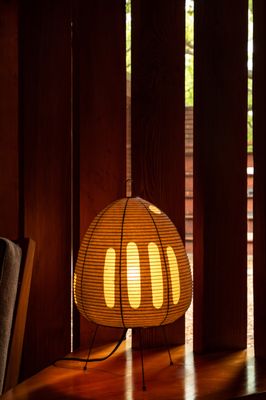 Two Enlighten by null