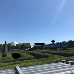 Irrgarten Kleinwelka - Irrgarten Kleinwelka